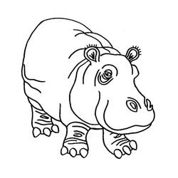 Dessin à colorier: Hippopotame (Animaux) #8726 - Coloriages à imprimer