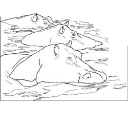 Dessin à colorier: Hippopotame (Animaux) #8727 - Coloriages à Imprimer Gratuits