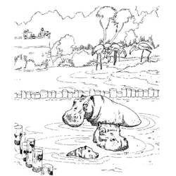 Dessin à colorier: Hippopotame (Animaux) #8737 - Coloriages à Imprimer Gratuits