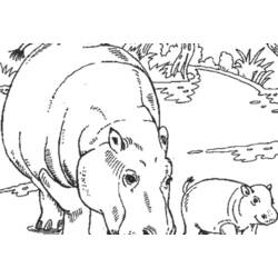 Dessin à colorier: Hippopotame (Animaux) #8769 - Coloriages à Imprimer Gratuits