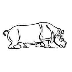 Dessin à colorier: Hippopotame (Animaux) #8801 - Coloriages à Imprimer Gratuits