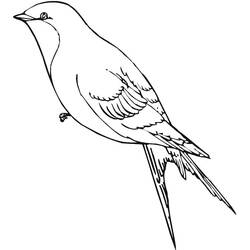 Dessin à colorier: Hirondelle (Animaux) #210276 - Coloriages à Imprimer Gratuits