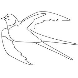 Dessin à colorier: Hirondelle (Animaux) #210277 - Coloriages à Imprimer Gratuits