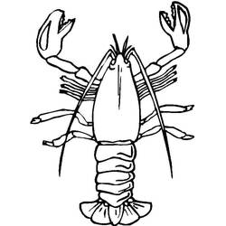 Dessin à colorier: Homard (Animaux) #186720 - Coloriages à Imprimer Gratuits