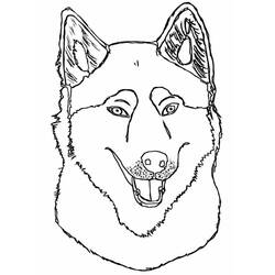 Dessin à colorier: Husky (Animaux) #189111 - Coloriages à Imprimer Gratuits