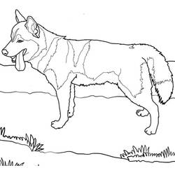 Dessin à colorier: Husky (Animaux) #189130 - Coloriages à Imprimer Gratuits