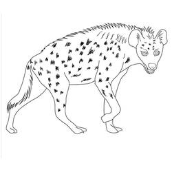 Dessin à colorier: Hyène (Animaux) #186933 - Coloriages à Imprimer Gratuits