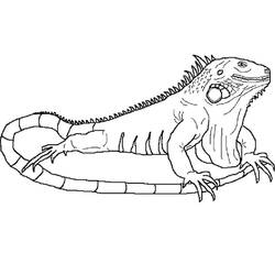 Dessin à colorier: Iguane (Animaux) #188789 - Coloriages à Imprimer Gratuits