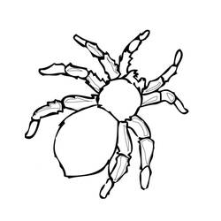 Dessin à colorier: Insecte (Animaux) #179750 - Coloriages à Imprimer Gratuits