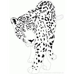 Dessin à colorier: Jaguar (Animaux) #9002 - Coloriages à Imprimer Gratuits