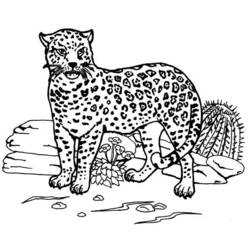 Dessin à colorier: Jaguar (Animaux) #9005 - Coloriages à Imprimer Gratuits
