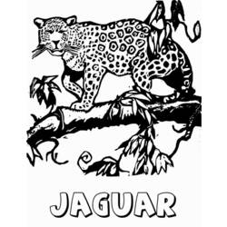 Dessin à colorier: Jaguar (Animaux) #9008 - Coloriages à Imprimer Gratuits