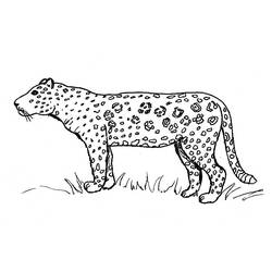Dessin à colorier: Jaguar (Animaux) #9010 - Coloriages à Imprimer Gratuits