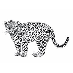 Dessin à colorier: Jaguar (Animaux) #9025 - Coloriages à Imprimer Gratuits