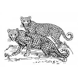 Dessin à colorier: Jaguar (Animaux) #9031 - Coloriages à Imprimer Gratuits
