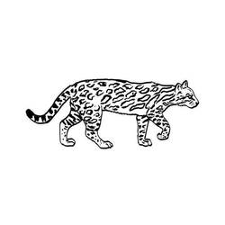 Dessin à colorier: Jaguar (Animaux) #9039 - Coloriages à Imprimer Gratuits