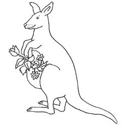 Coloriage Kangourou (Animaux) #179656 à imprimer et colorier
