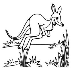 Coloriage Kangourou (Animaux) #179667 à imprimer et colorier