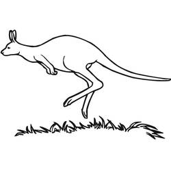 Coloriage Kangourou (Animaux) #179679 à imprimer et colorier