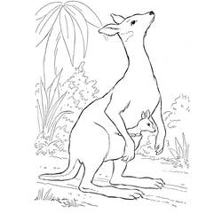 Coloriage Kangourou (Animaux) #179685 à imprimer et colorier