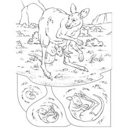 Dessin à colorier: Kangourou (Animaux) #9151 - Coloriages à Imprimer Gratuits
