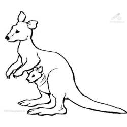 Dessin à colorier: Kangourou (Animaux) #9172 - Coloriages à Imprimer Gratuits