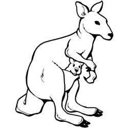Dessins à colorier: Kangourou - Coloriages à imprimer
