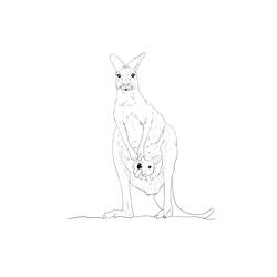Dessin à colorier: Kangourou (Animaux) #9228 - Coloriages à Imprimer Gratuits