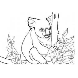 Coloriage Koala (Animaux) #178760 à imprimer et colorier