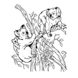 Coloriage Koala (Animaux) #178770 à imprimer et colorier