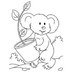 Coloriage Koala (Animaux) #178771 à imprimer et colorier
