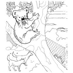 Dessin à colorier: Koala (Animaux) #9307 - Coloriages à Imprimer Gratuits