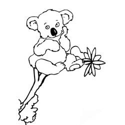 Dessin à colorier: Koala (Animaux) #9325 - Coloriages à Imprimer Gratuits