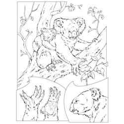 Dessin à colorier: Koala (Animaux) #9339 - Coloriages à Imprimer Gratuits