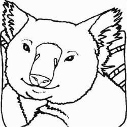Dessin à colorier: Koala (Animaux) #9340 - Coloriages à Imprimer Gratuits