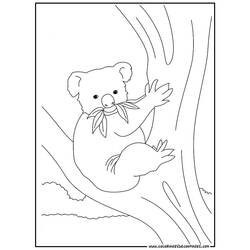 Dessin à colorier: Koala (Animaux) #9342 - Coloriages à Imprimer Gratuits