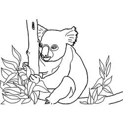 Dessin à colorier: Koala (Animaux) #9456 - Coloriages à Imprimer Gratuits