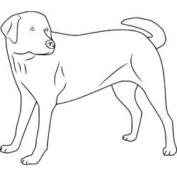 Dessin à colorier: Labrador (Animaux) #220736 - Coloriages à Imprimer Gratuits