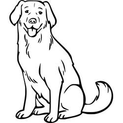 Dessin à colorier: Labrador (Animaux) #220737 - Coloriages à Imprimer Gratuits