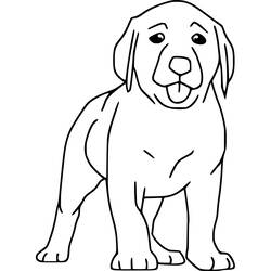 Dessin à colorier: Labrador (Animaux) #220738 - Coloriages à Imprimer Gratuits