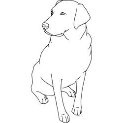 Dessin à colorier: Labrador (Animaux) #220741 - Coloriages à Imprimer Gratuits