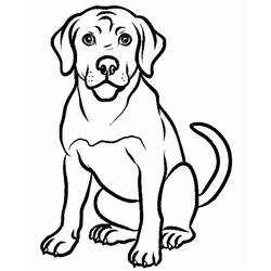 Dessin à colorier: Labrador (Animaux) #220752 - Coloriages à Imprimer Gratuits