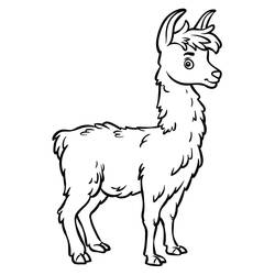 Dessin à colorier: Lama (Animaux) #179530 - Coloriages à Imprimer Gratuits