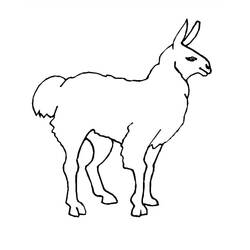 Dessin à colorier: Lama (Animaux) #179532 - Coloriages à Imprimer Gratuits