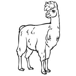 Dessin à colorier: Lama (Animaux) #179540 - Coloriages à Imprimer Gratuits