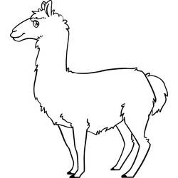 Dessin à colorier: Lama (Animaux) #179543 - Coloriages à Imprimer Gratuits