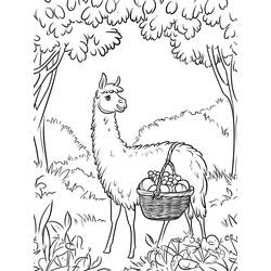 Dessin à colorier: Lama (Animaux) #217819 - Coloriages à Imprimer Gratuits