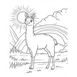 Dessin à colorier: Lama (Animaux) #217822 - Coloriages à Imprimer Gratuits