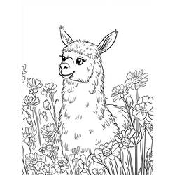Dessin à colorier: Lama (Animaux) #217827 - Coloriages à Imprimer Gratuits