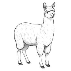 Dessin à colorier: Lama (Animaux) #217829 - Coloriages à Imprimer Gratuits